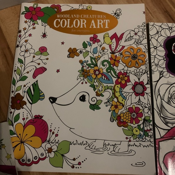 New Coloring Books Selling All Three together Make a Offer!! - Picture 2 of 6